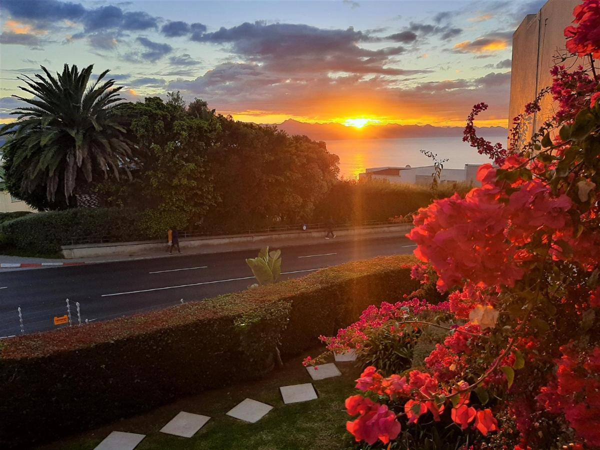 Apartmán Arrowood 2 Plettenberg Bay Exteriér fotografie